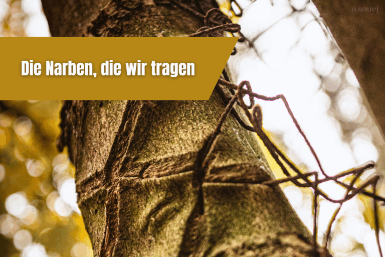souej blog beitrag narben die wir tragen