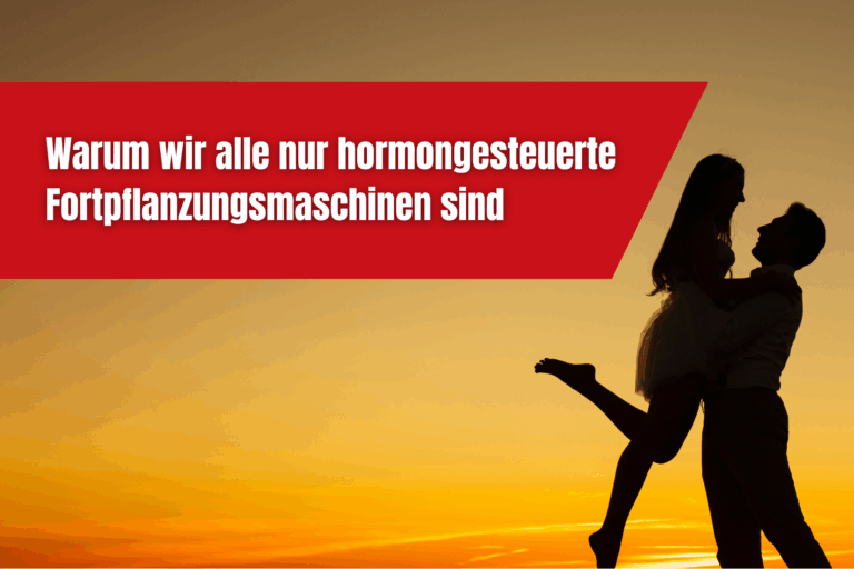 souej blog beitrag warum wir alle nur hormongesteuerte fortpflanzungsmaschinen sind